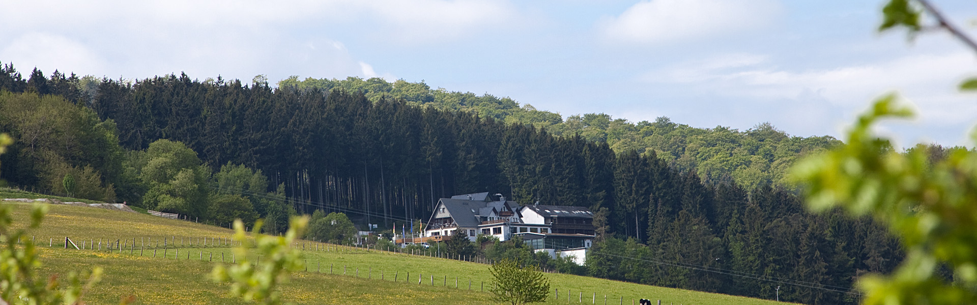 Waldhotel Willingen Virnich OHG