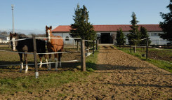 reitanlage