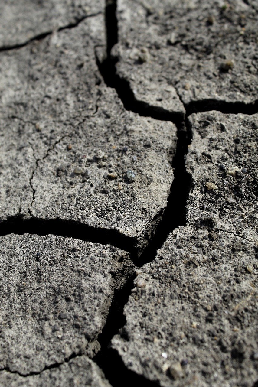 BERNBURGER BIOLOGISCH UND ÖKOLOGISCH SINNVOLLE BESCHICHTUNGSSYSTEME